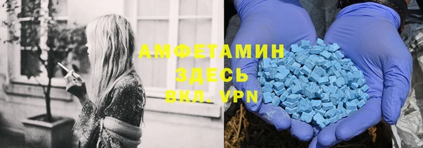 стаф Алексин