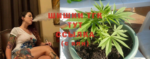тгк Абаза